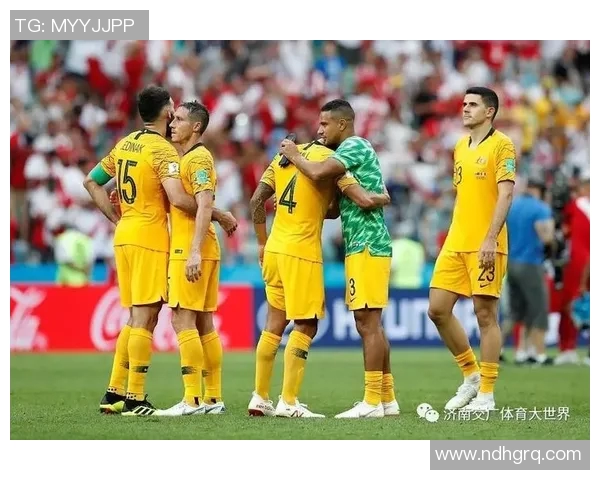 法国与丹麦比赛技术统计分析全面解读 法国与丹麦比赛技术统计分析全面解读