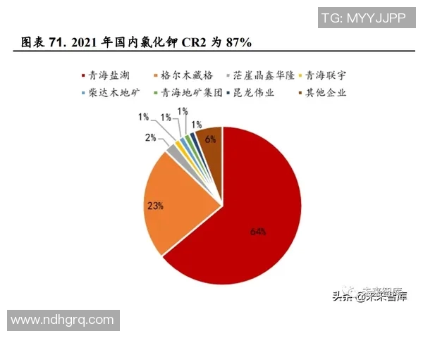 标准列与梅赫伦的较量分析及比赛前瞻展望